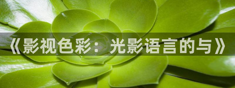 星空天美影院：《影视色彩：光影语言的与》