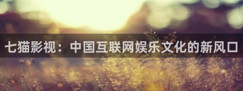 星空影院免费播放的电影大全：七猫影视：中国互联网娱乐文化的新风口