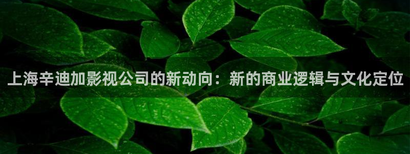 星空影院观看：上海辛迪加影视公司的新动向：新的商业逻辑与文化定位