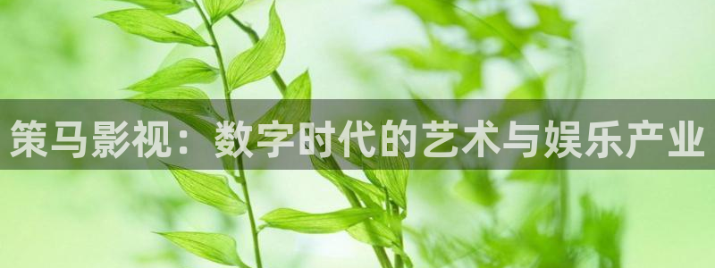八戒星空影院：策马影视：数字时代的艺术与娱乐产业