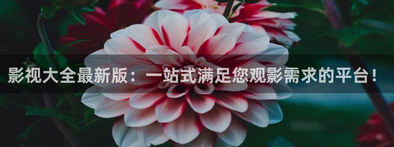 星空影院在线观看：影视大全最新版：一站式满足您观影需求的平台！