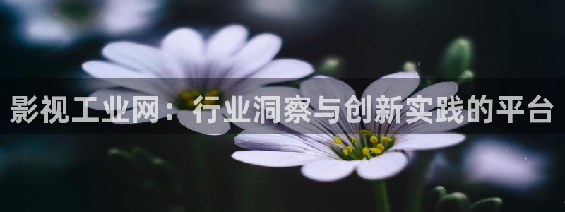 潜伏电视剧在线观看星空影院：影视工业网：行业洞察与创新实践的平台