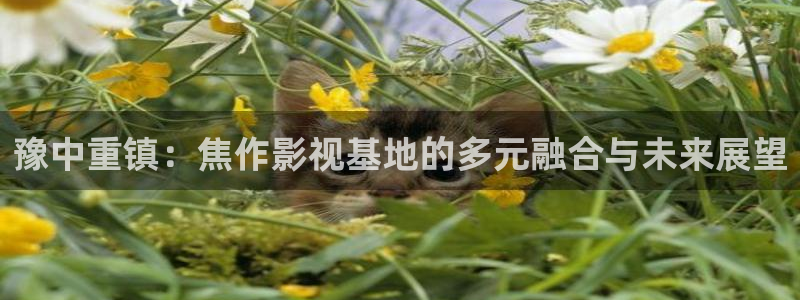 无限星空影院：豫中重镇：焦作影视基地的多元融合与未来展望
