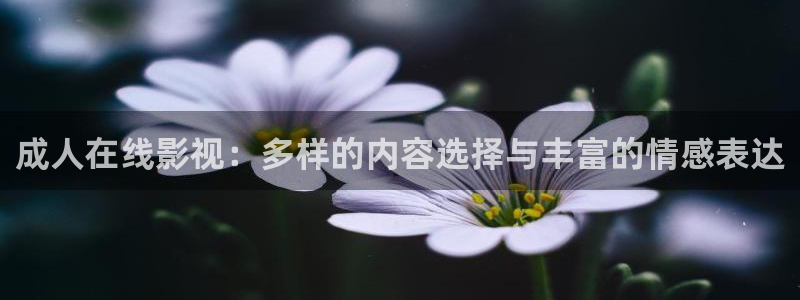 滁州星空影城：成人在线影视：多样的内容选择与丰富的情感表达