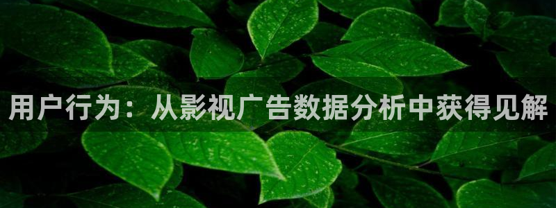 星空影院高清影视在线观看：用户行为：从影视广告数据分析中获得见解